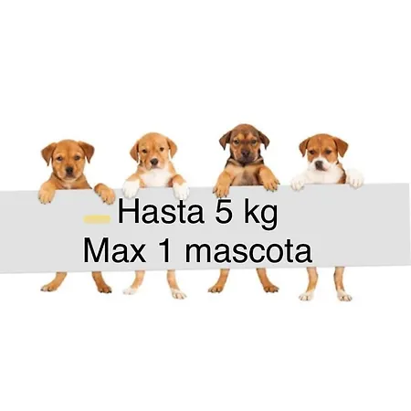 Analema Con Piscina Wifi Y Aire Acondicionado شقة